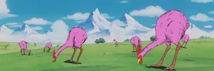 Spinachwastes
