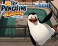 Madagascar-Wallpaper--private.jpg