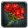 Inv rosebouquet01