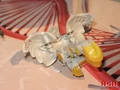 IMG 3947