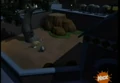 Joey's Habitat 02.jpg