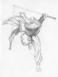 2 schwerter ninja