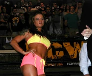 Lita 11