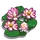 Lotus-icon