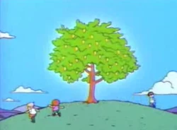 Lemon Tree