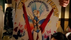 Metamorphosis