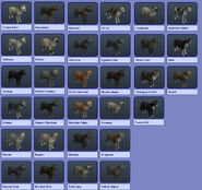 All+dog+breeds+chart