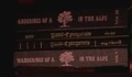 WanderingsofaTreeintheAlps.jpg