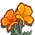 Golden Poppy-icon