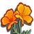 Golden Poppy-icon