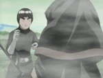 Narutoleevsraiga2