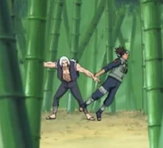 Irukavsmizuuki