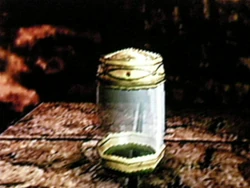 FireFly Lantern