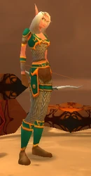 Ranger Sallina.png