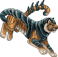 Kuras tiger female.gif