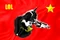CatLandFlag