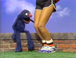 GroverKnees