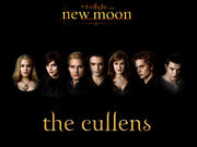 New-Moon-alice-cullen-7286330-1024-768