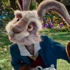 Marchhare