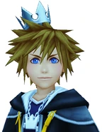 Sora's Crown (Silver)