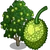 Breadfruit Tree-icon.png