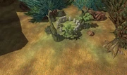 Tox druid ring.jpg