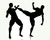 Fighters icon.png
