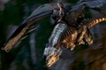 Eragonandsaphiraeragon3.jpg