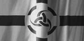 BWAsgaardFlag.jpg
