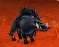 Dire Mottled Boar.jpg