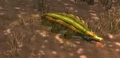 Drywallow Daggermaw.jpg