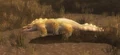 Deadmire.jpg