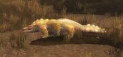 Deadmire
