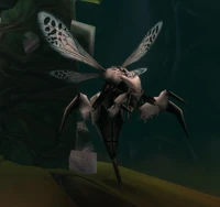 Image of Qirot