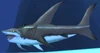 Basking Shark