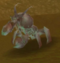 Muckshell Snapclaw
