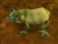 FliksFrog.jpg
