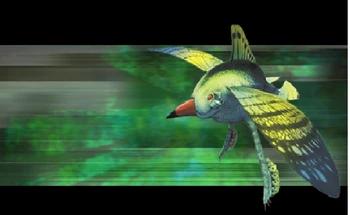 Bird