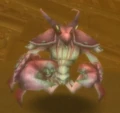 Muckshell Razorclaw.jpg