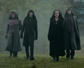 Volturi LG 01.JPG