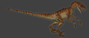 Velociraptor