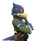 Green Falco SSBB.jpg (5 KB) Green Falco SSBB