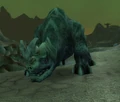 Aged Kodo.jpg