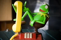 KermitTelephone02