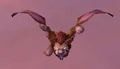 Wind Rider Cub.jpg