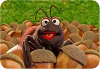 Elmo'sBackyard-Ant
