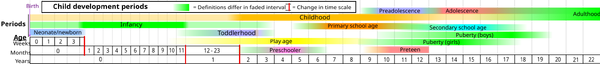 Child development stages