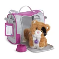 PetCarrier.jpg
