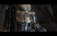 Elite's face