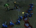 Hydralisk WC3 Game1.jpg